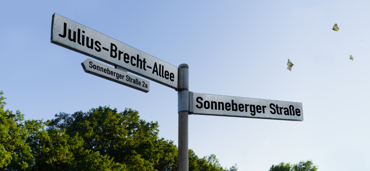 soGeZ_Home_1200x555px_RGB_72dpi